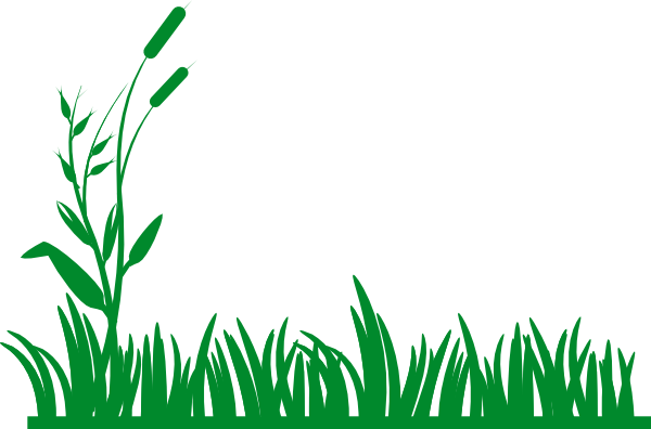 Clipart grass banner. Bush pencil and in