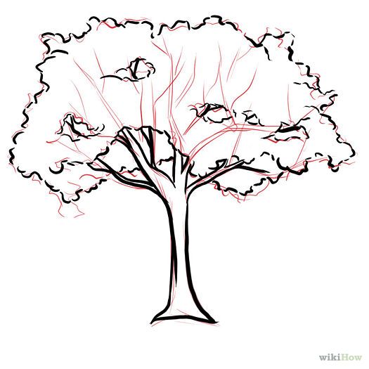 Bushes clipart line drawing, Bushes line drawing Transparent FREE for