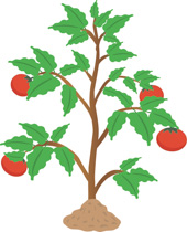 Bushes clipart plant. Free cliparts download clip