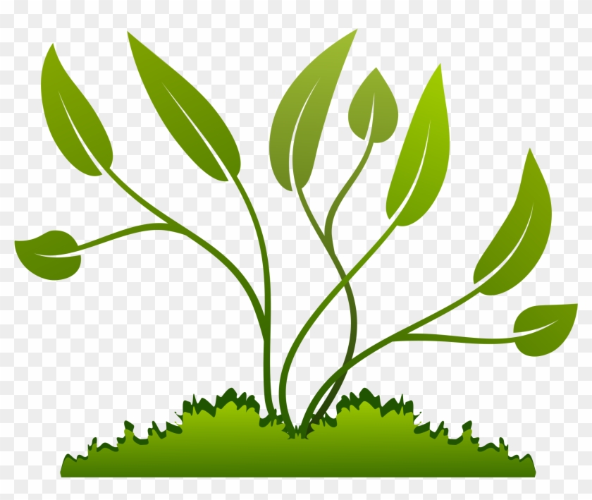 Growth clipart plant, Picture #2783221 growth clipart plant