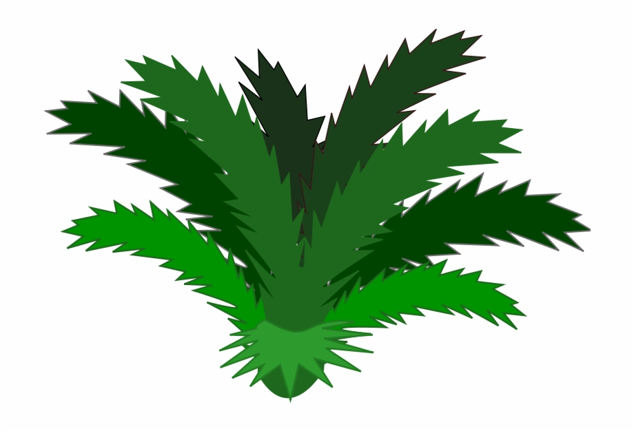 Plan tropical plants free. Bushes clipart plant