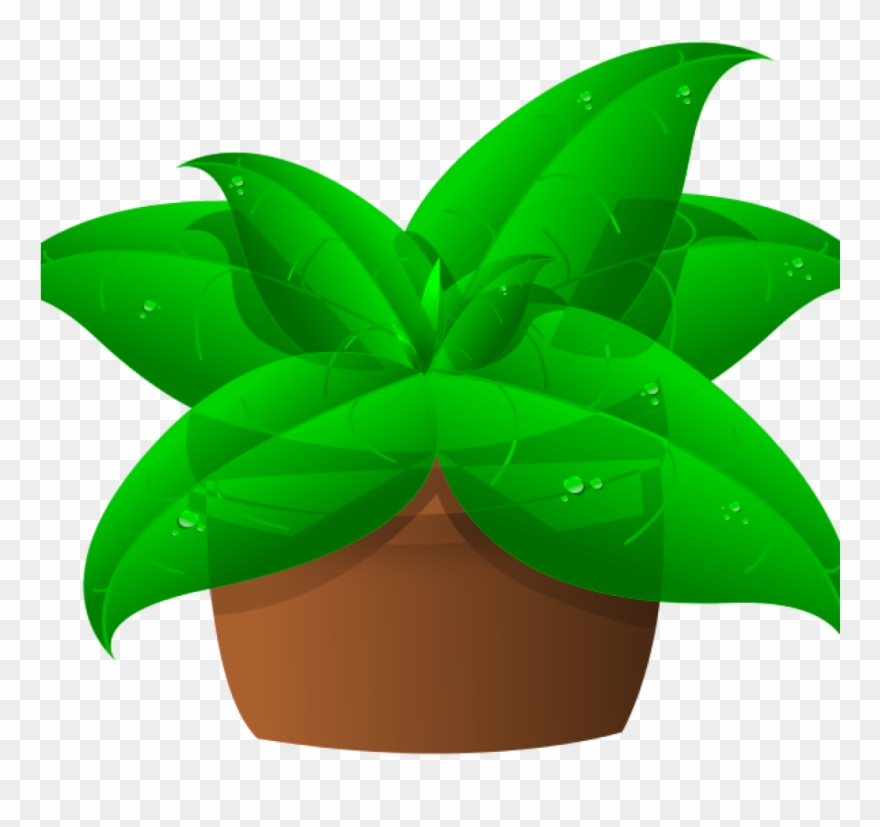 Plants clipart green plant. Clip art space in