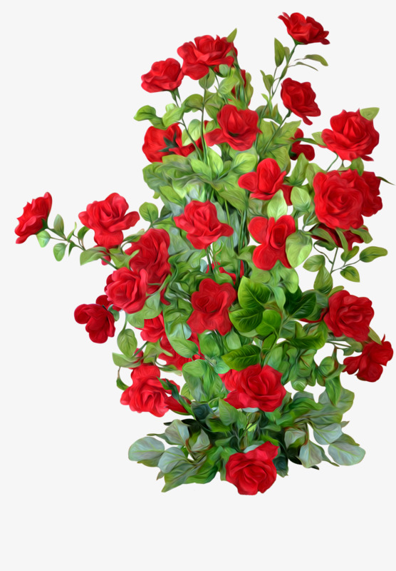 Bushes clipart rose bush, Bushes rose bush Transparent FREE for