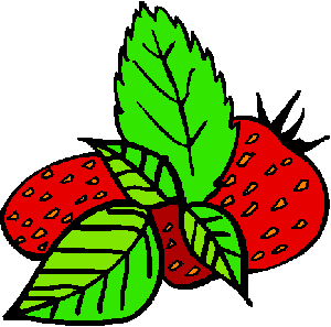bushes clipart strawberry