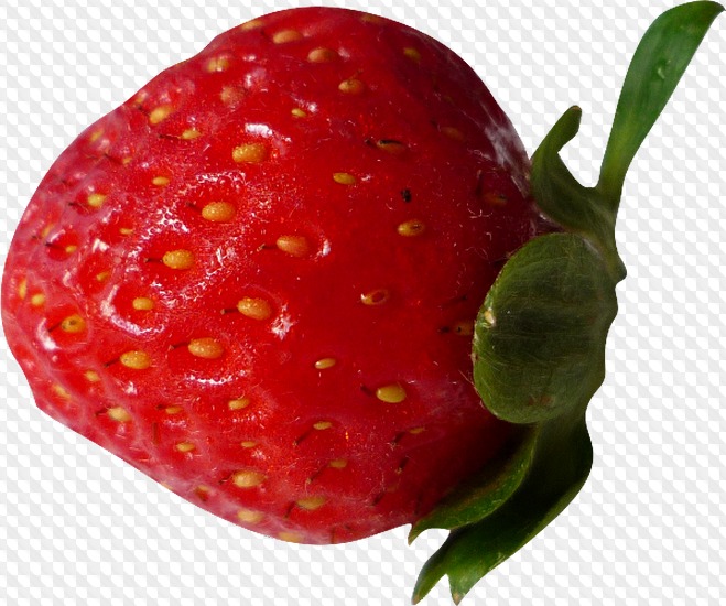 bushes clipart strawberry
