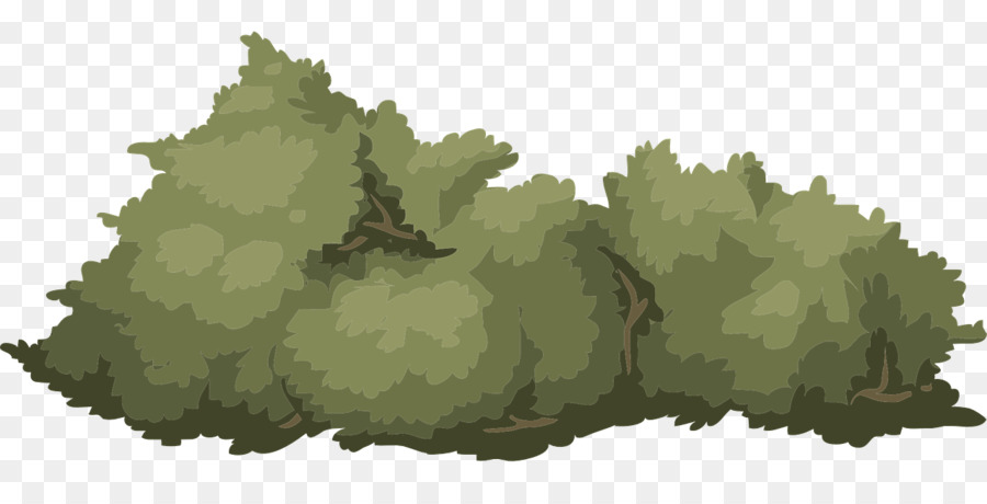 Bushes tree