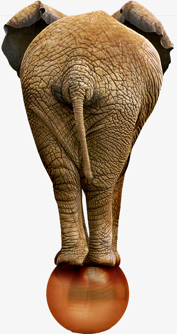 butt clipart baby elephant