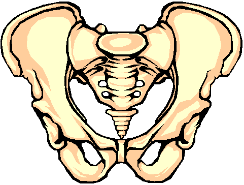 butt clipart bruised