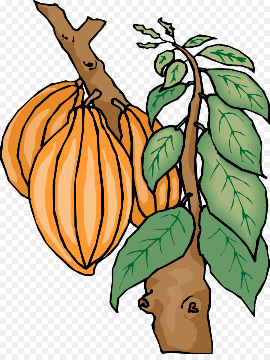 Butter clipart cocoa butter. Kinder chocolate theobroma cacao