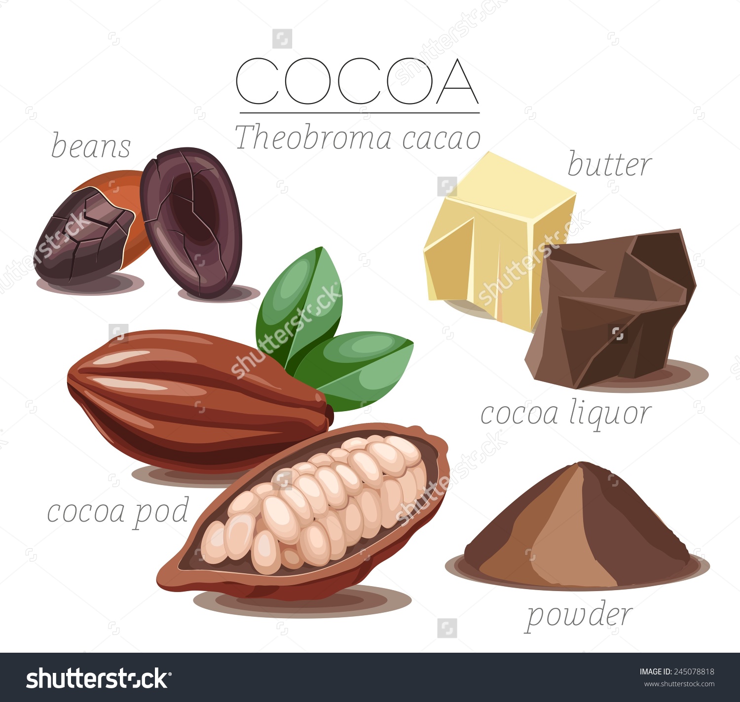 butter clipart cocoa butter