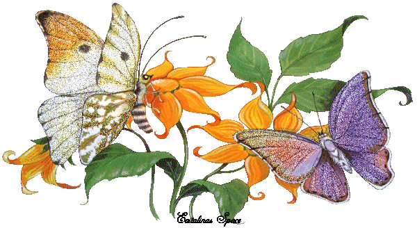 butterflies clipart animation