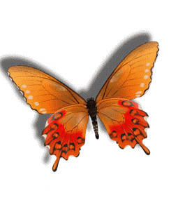 Gif images download . Butterfly clipart animation