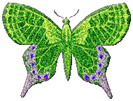 Animated gifs bright green. Butterfly clipart animation