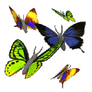 Butterfly clipart animation. Animated image collection at