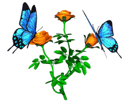 Featured image of post Transparent Butterfly Gif With tenor maker of gif keyboard add popular transparent butterfly gif animated gifs to your conversations