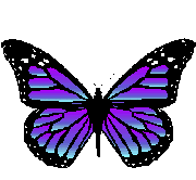 Free animations gifs . Butterfly clipart animation