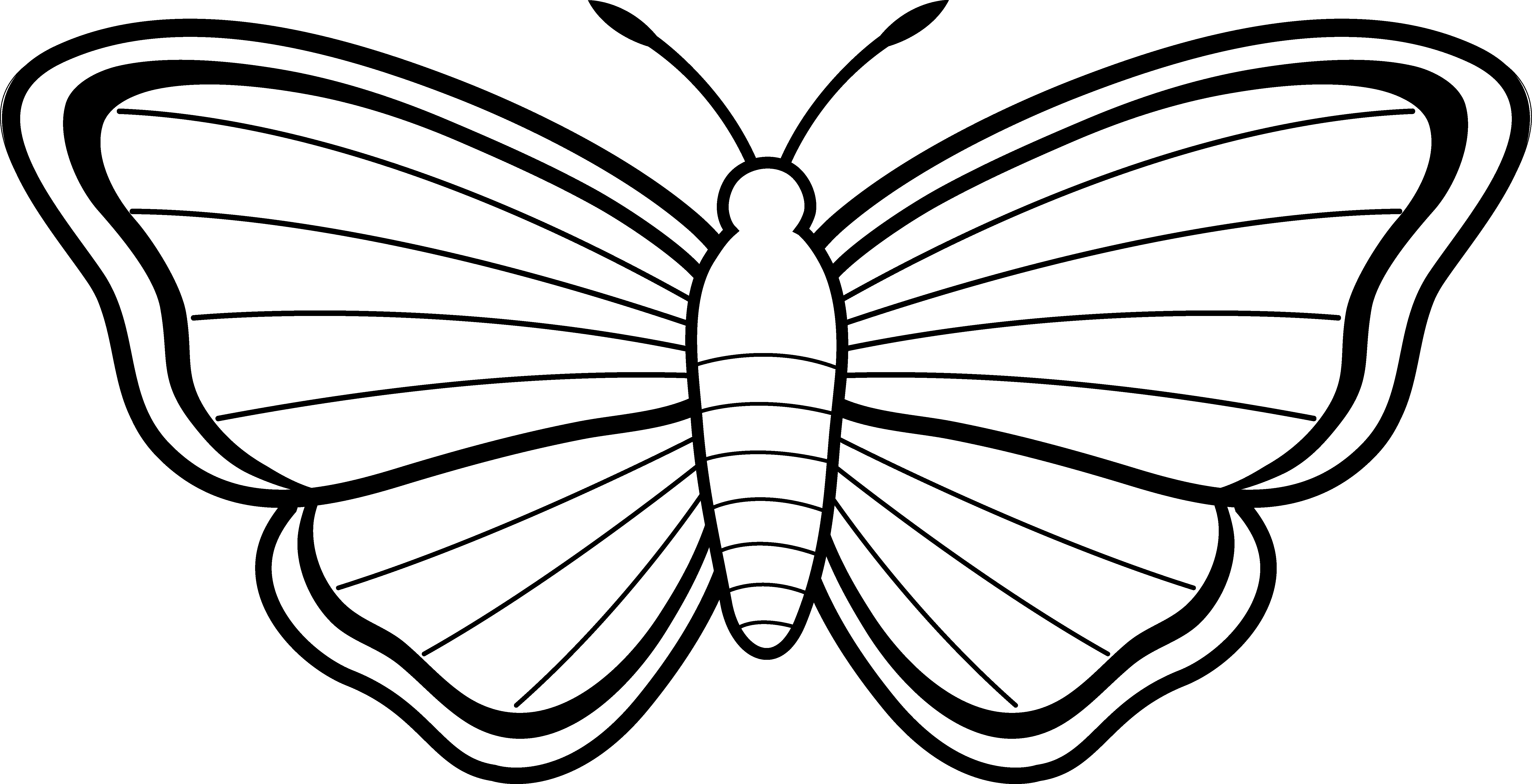 Insect clipart line art. Free butterflies black and