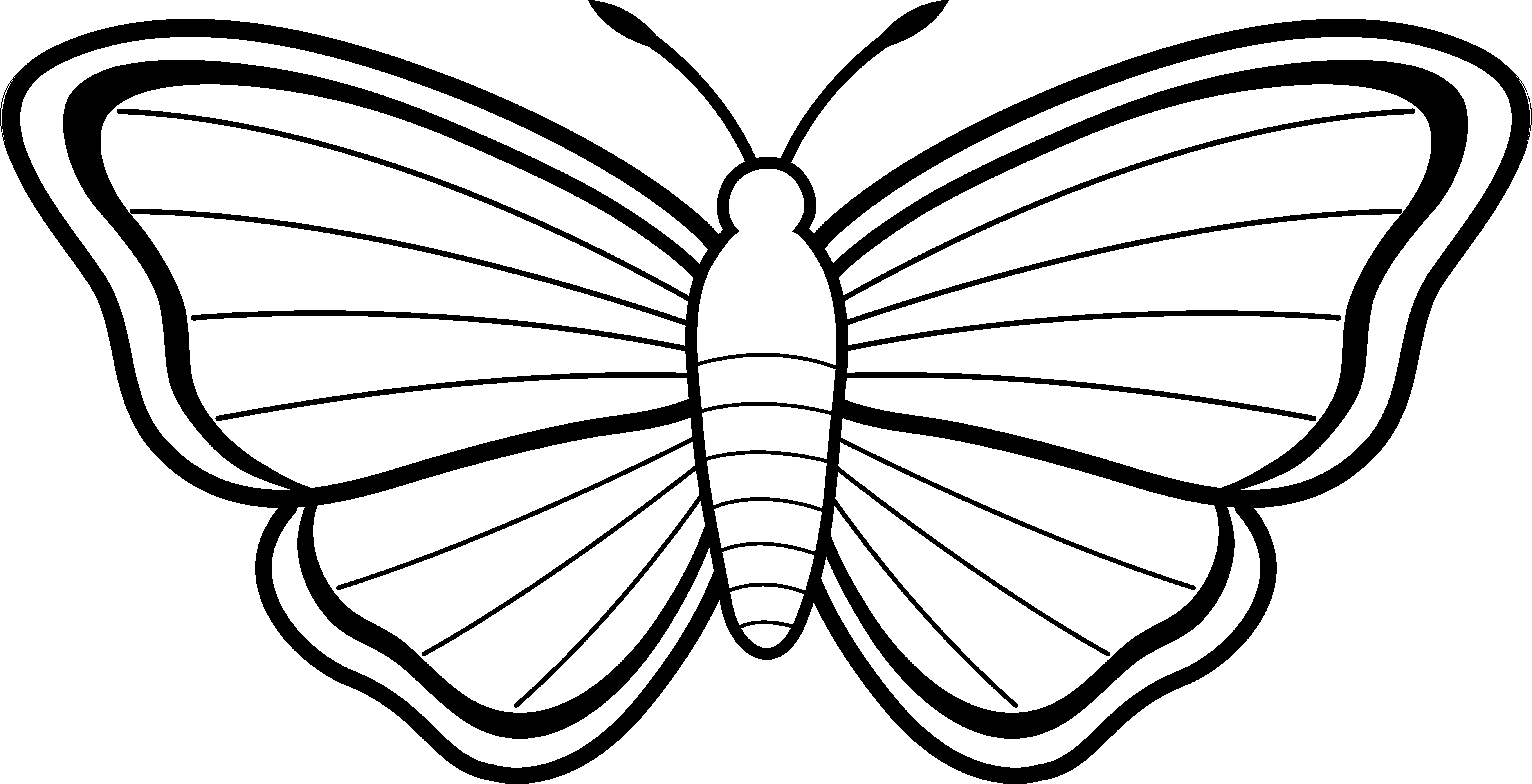 firefly clipart outline