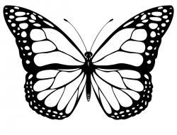 butterflies clipart black and white