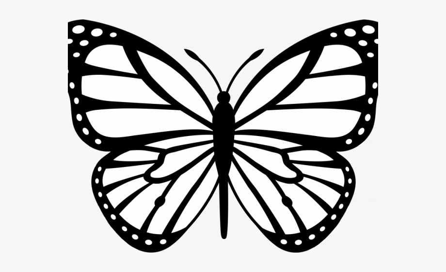 Butterfly clipart easy. Monarch colorful flying 