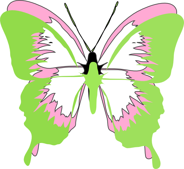 butterfly clipart lime green