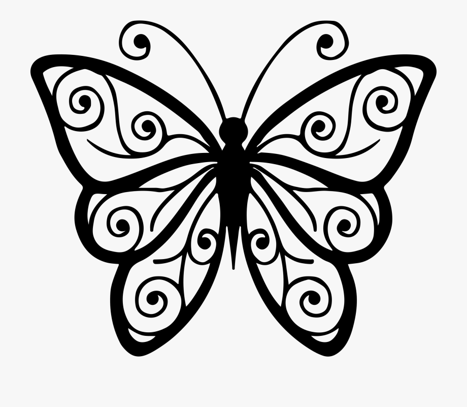 Butterfly clipart line drawing. Insect art black and
