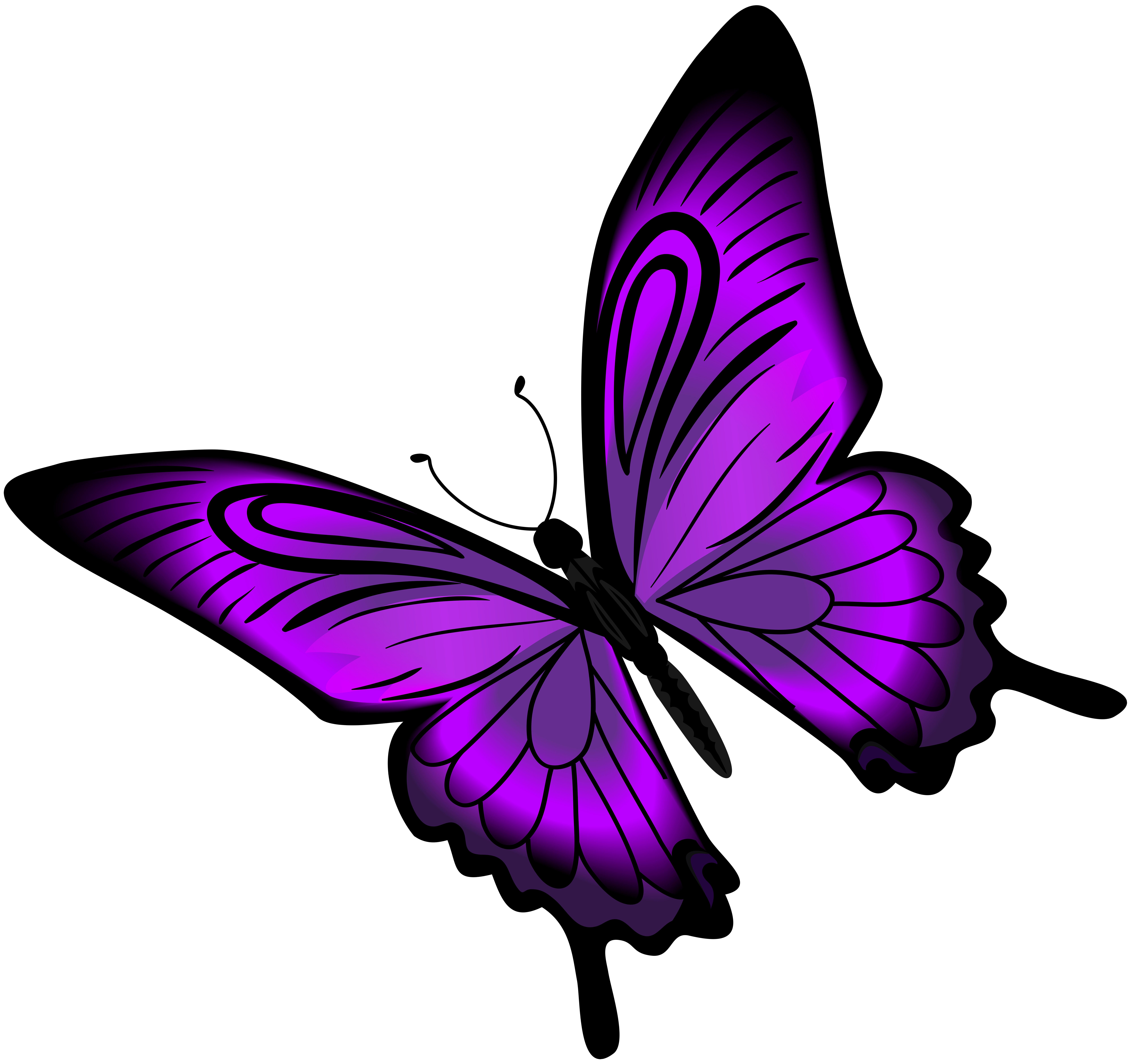 Butterflies clipart magenta. Purple butterfly clip art