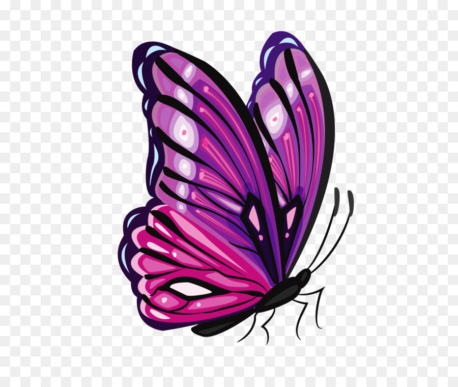 Butterfly purple clip art. Butterflies clipart magenta