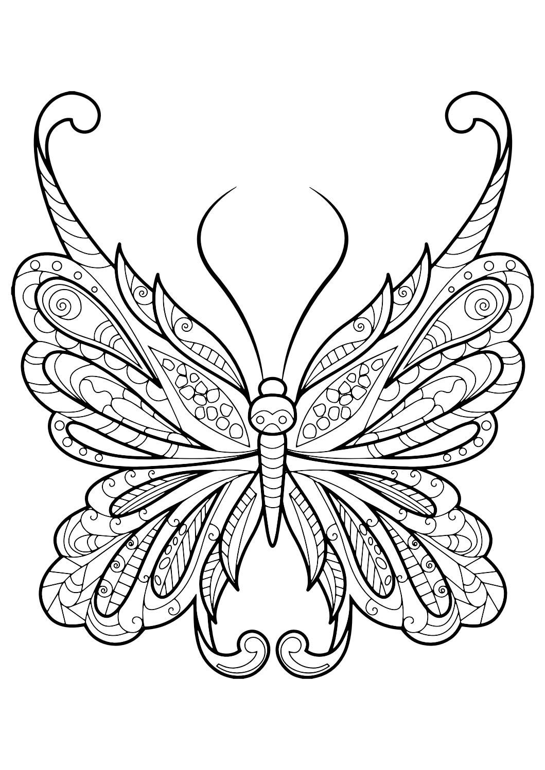 Free Free 172 Coloring Butterfly Mandala Svg SVG PNG EPS DXF File