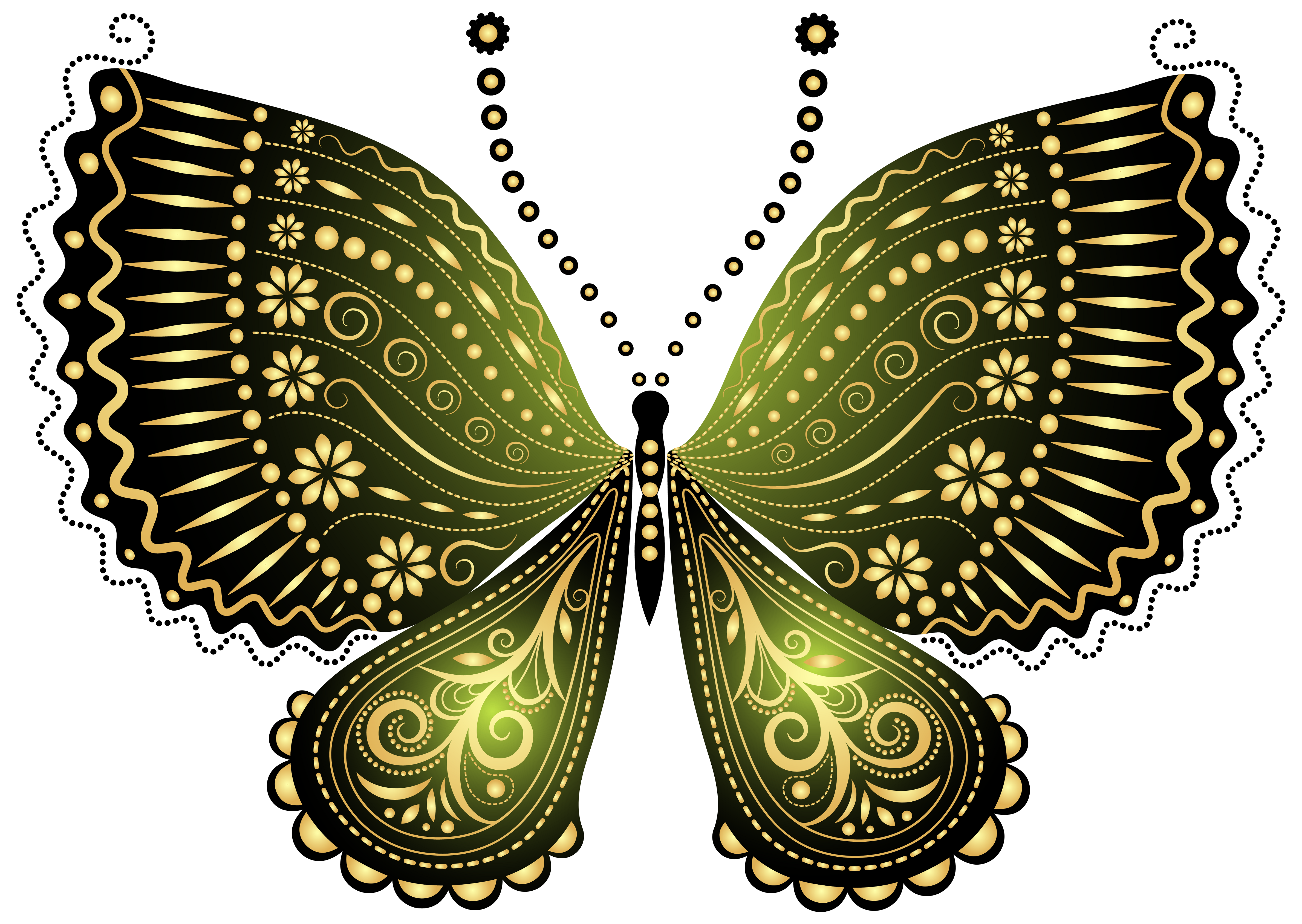butterfly clipart paisley