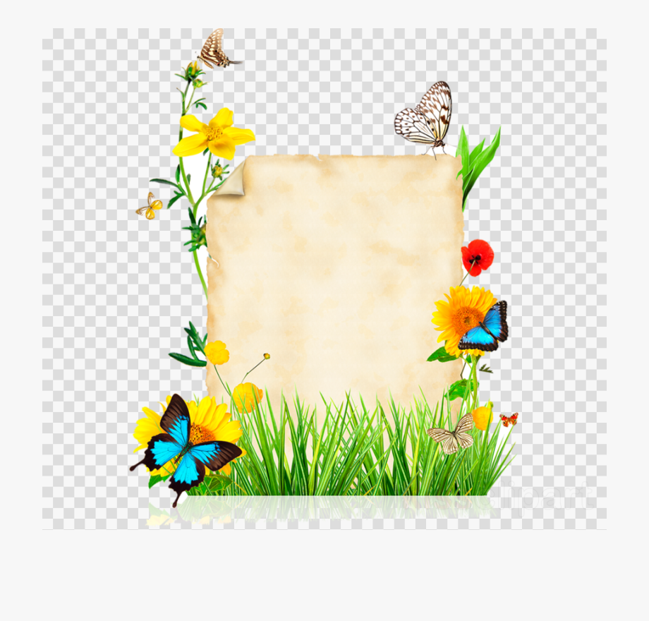 Clipart butterfly borders. And frames 