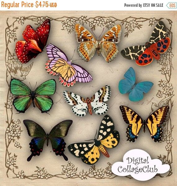 Butterfly clipart shabby chic.  off sale vintage
