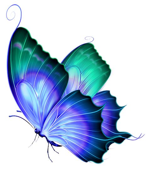  best images on. Butterflies clipart translucent