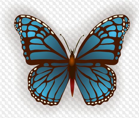 Png and psd . Butterfly clipart transparent background