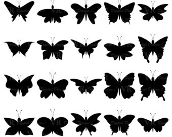 butterflies clipart vector