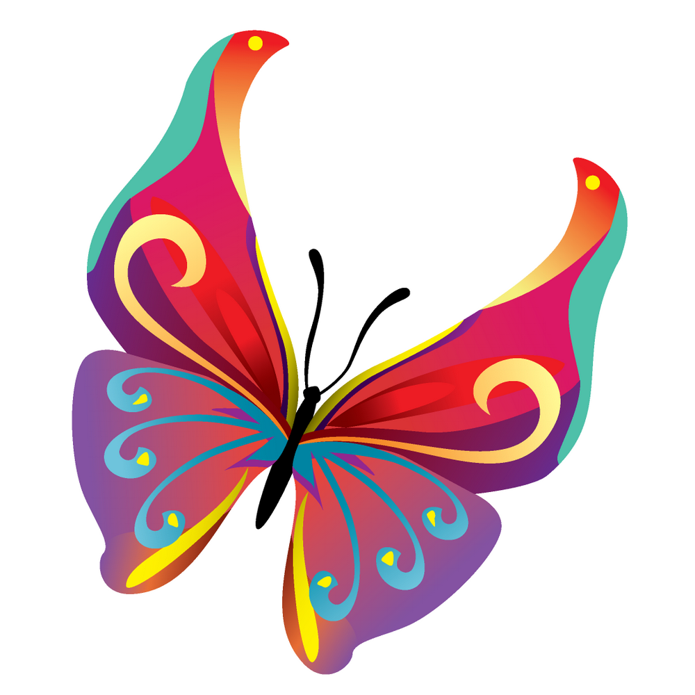 butterflies clipart vector