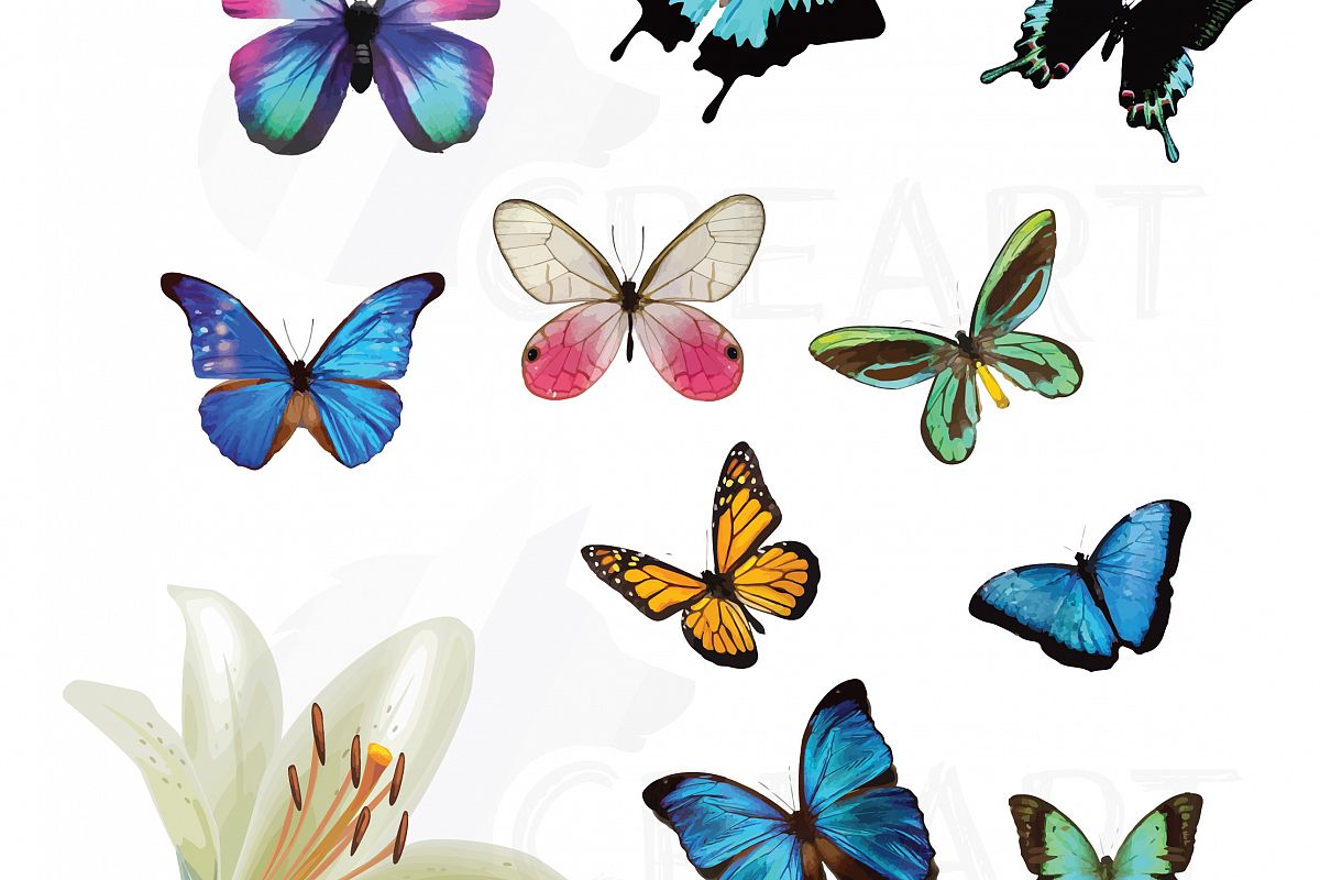 Butterfly clipart vector. Watercolor butterflies pack ve