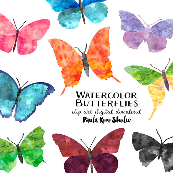 butterflies clipart watercolor