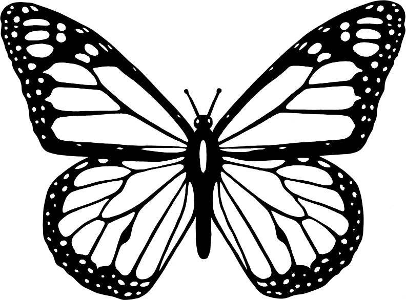 Butterfly clipart black and white, Butterfly black and white