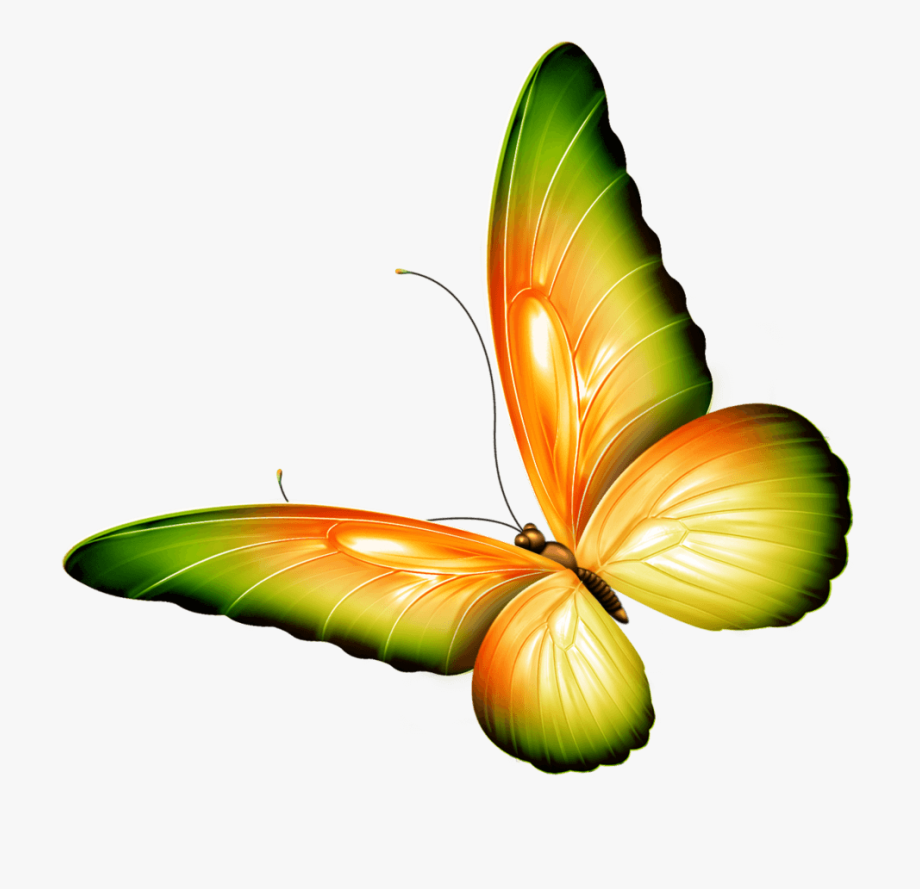 Clip art photoshop transparent. Butterfly clipart clear background