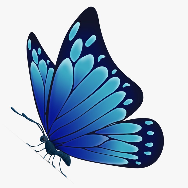 clipart butterfly dark blue