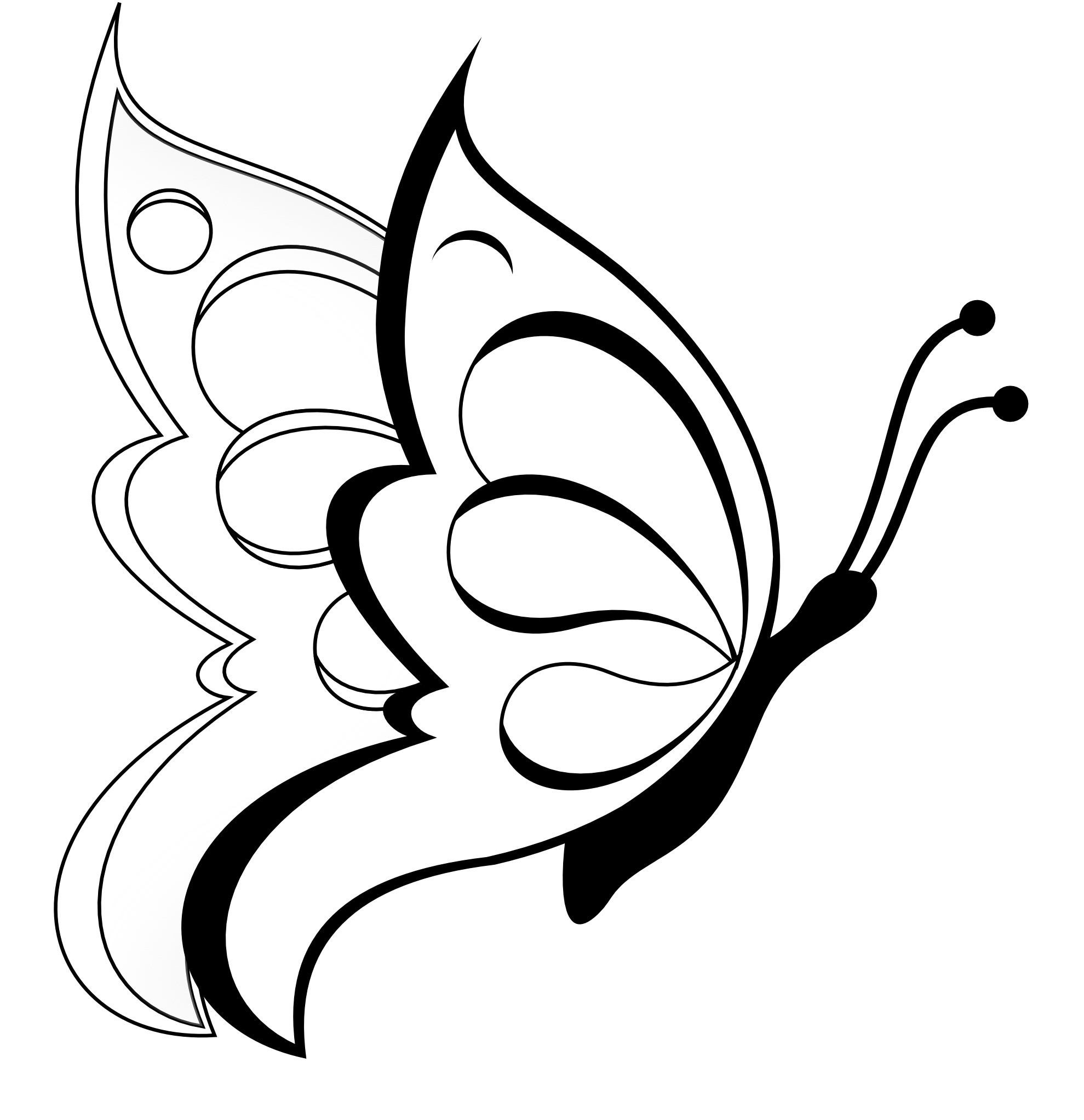 Drawings for kids library. Butterfly clipart easy