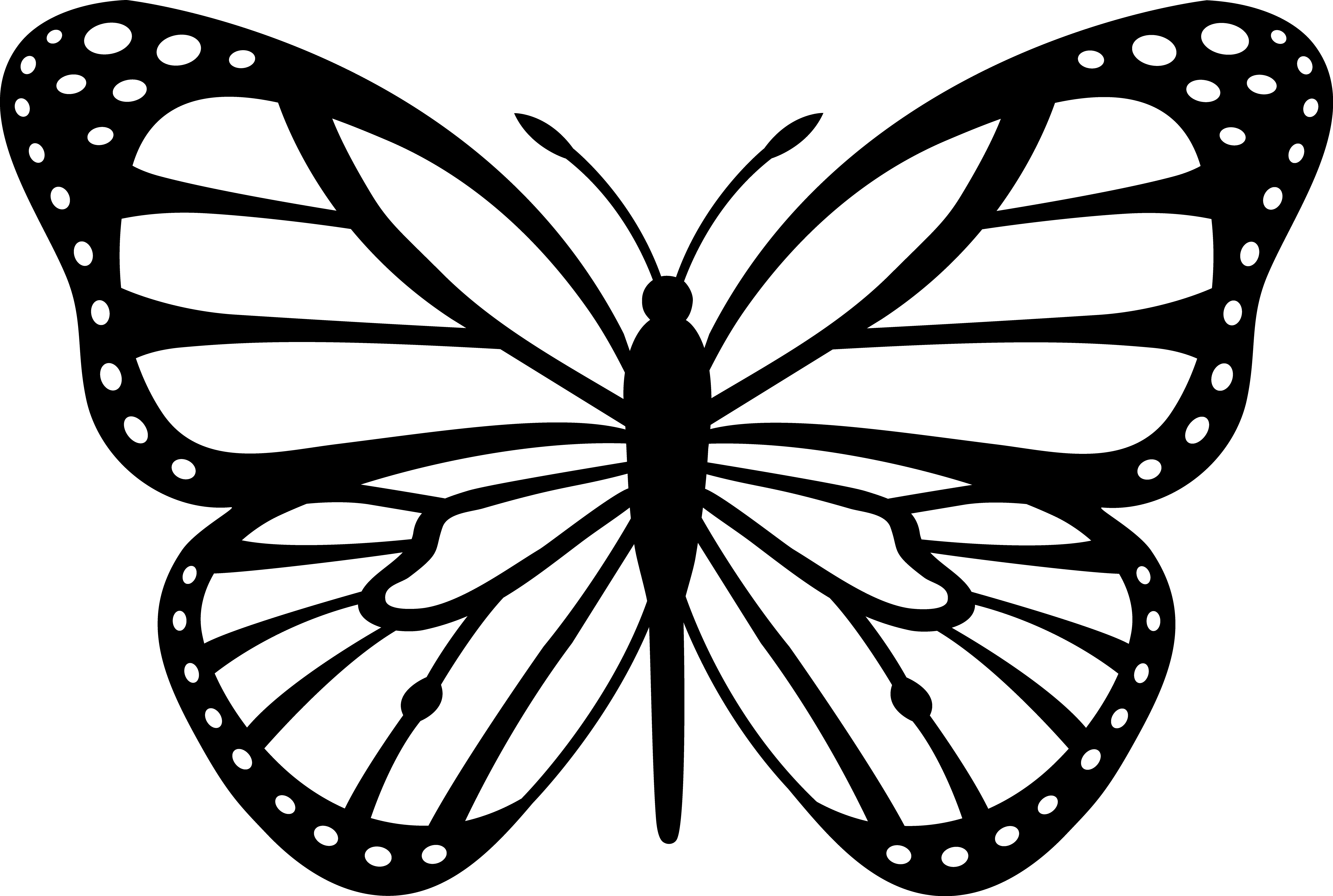Butterfly line drawing at. Yogurt clipart outline