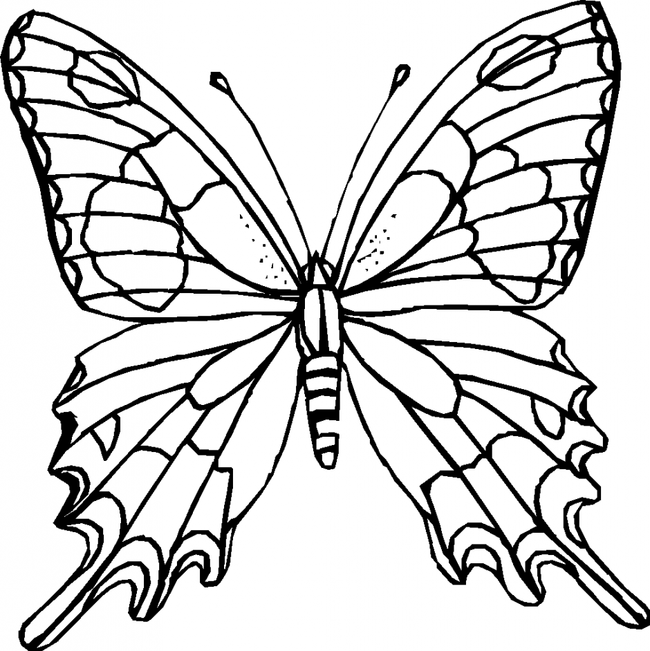 Butterfly clipart line drawing. Flying at getdrawings com