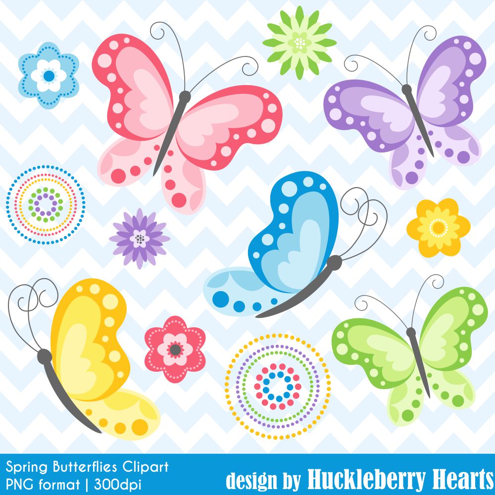 butterfly clipart spring