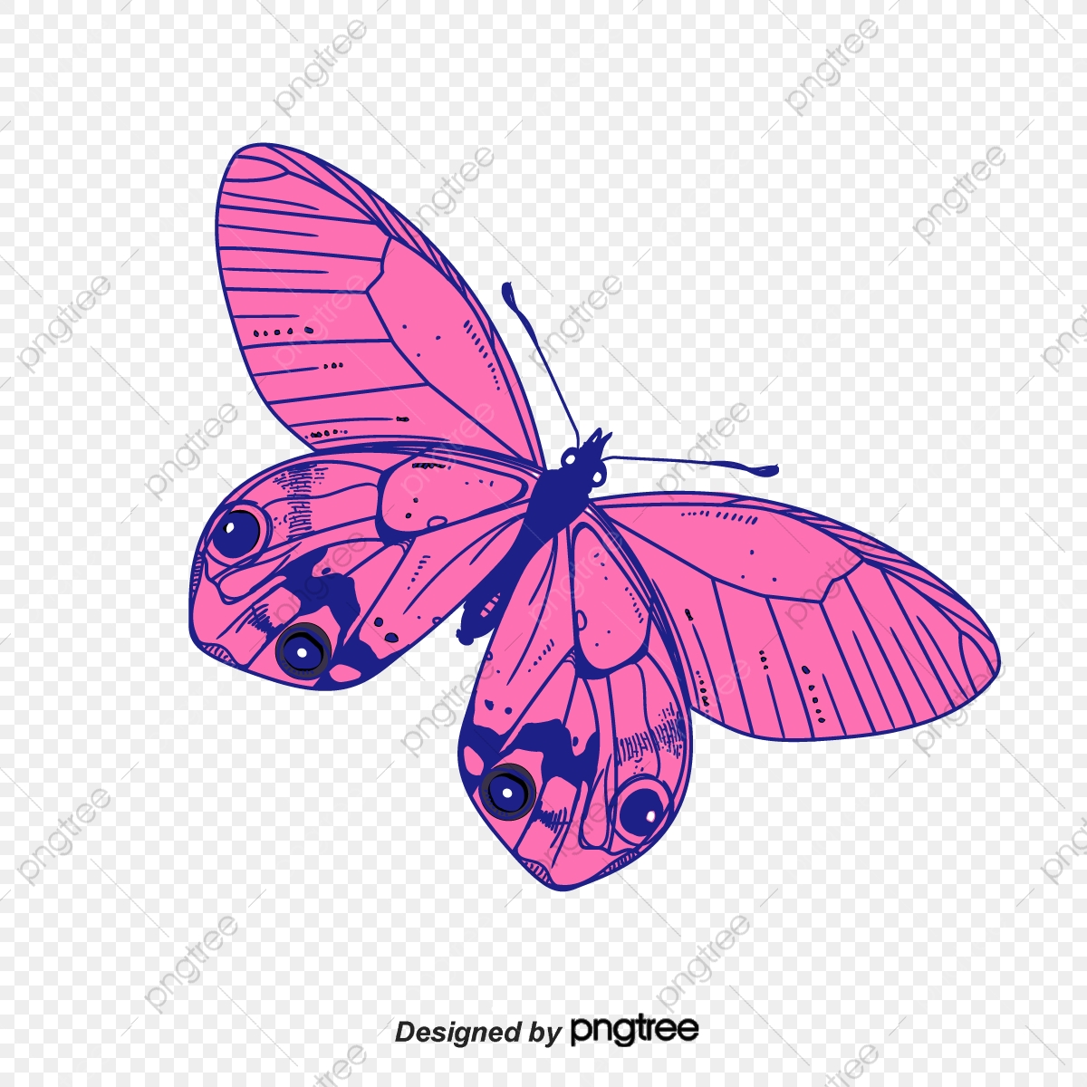 Butterfly clipart vector. Pink png 
