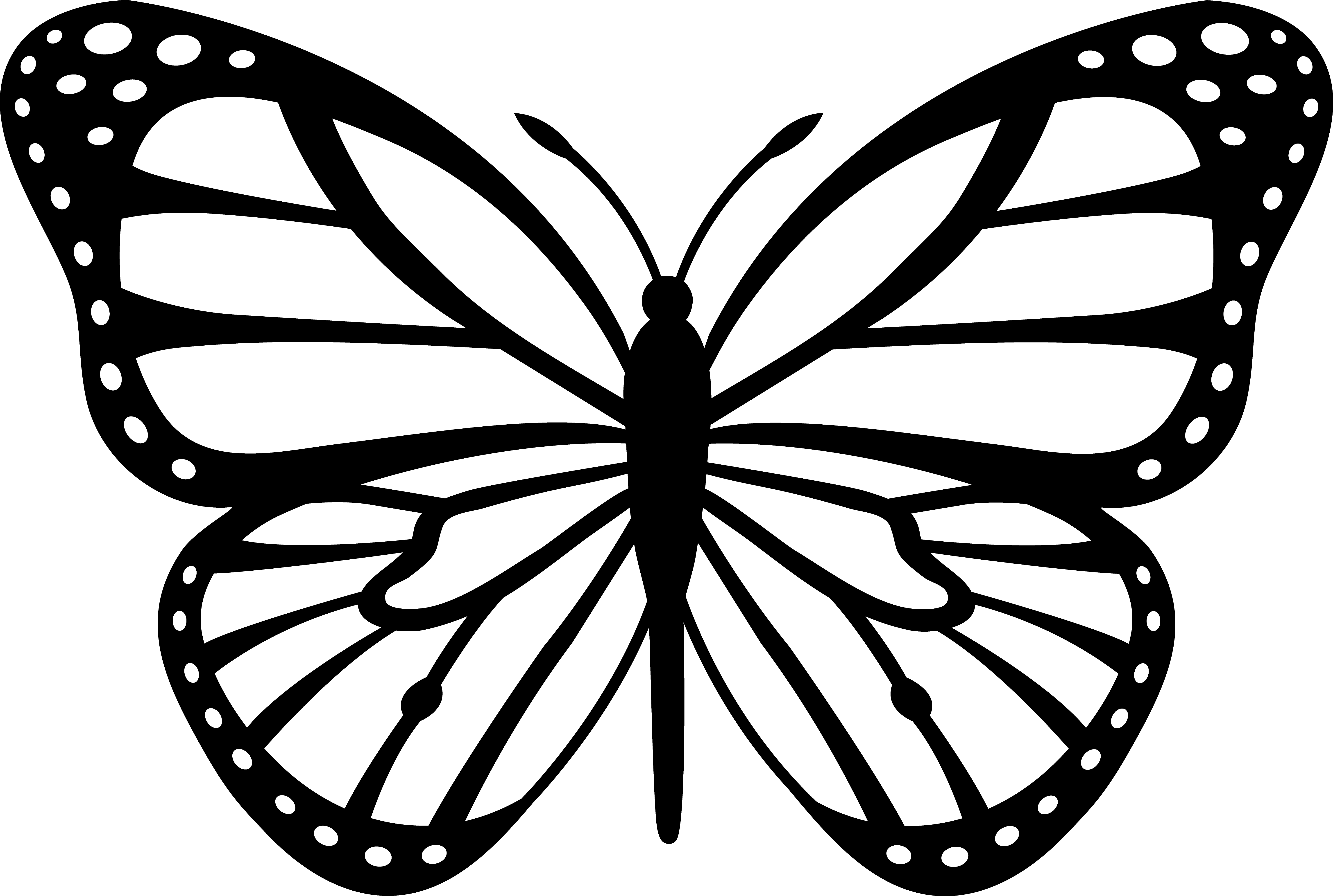 Free Free 175 Transparent Butterfly Svg Free SVG PNG EPS DXF File