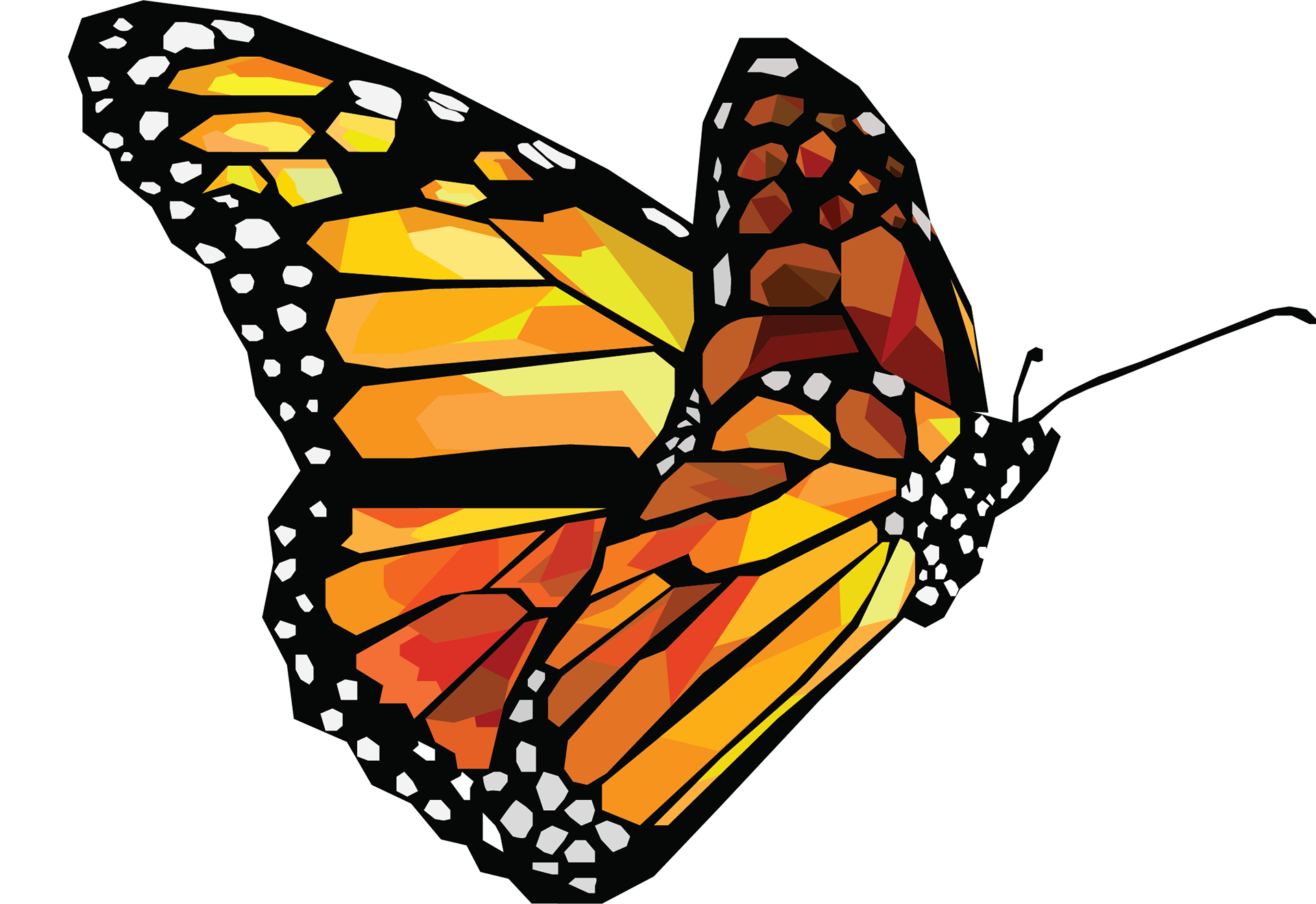 Free Free 317 Vector Monarch Butterfly Svg SVG PNG EPS DXF File