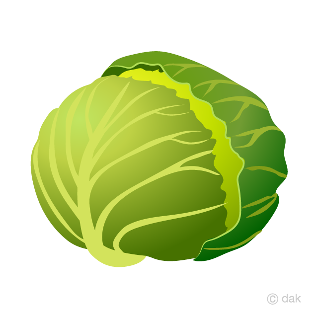 Free picture illustoon . Cabbage clipart