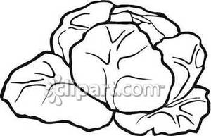 cabbage clipart black and white